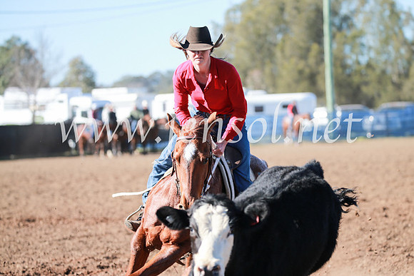 CCCampdraft2016_5240