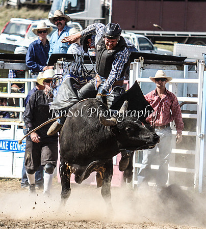 Bungendore2011_1328