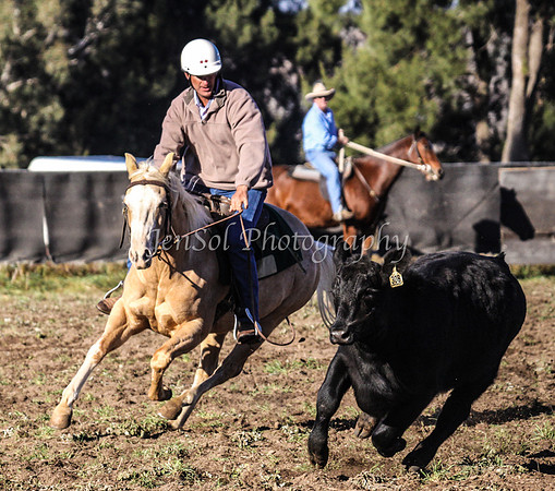IMG_0140Jugiong1