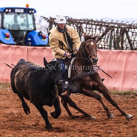 IllaboSun 201