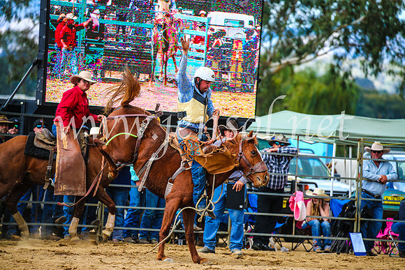 TumutRodeo2017_1528
