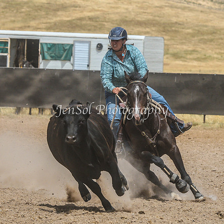 AdaminabyCampdraftSun2015_3345