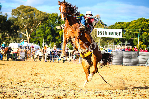 TumutRodeo2017_2404