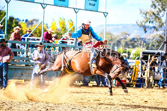 TumutRodeo2017_1793