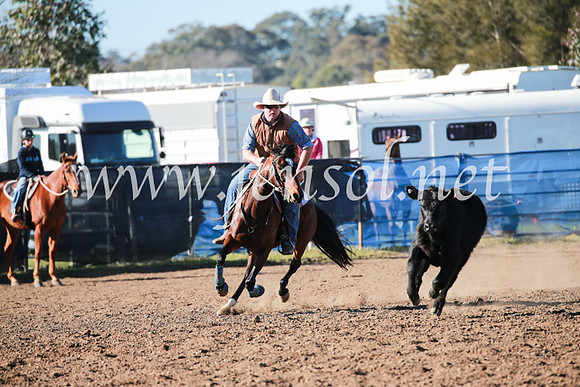 CCCampdraft2016_5228