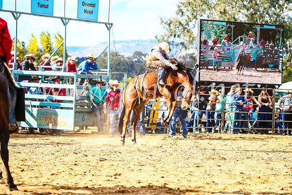 TumutRodeo2017_1725