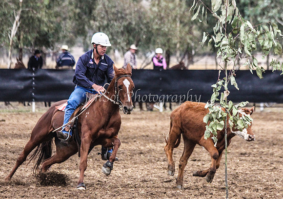 Corryong09 017