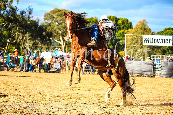 TumutRodeo2017_2403