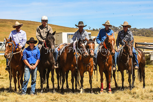 AdaminabyCampdraft2015_0274