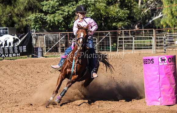 Dubbo2 409