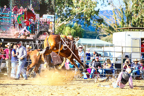 TumutRodeo2017_2305