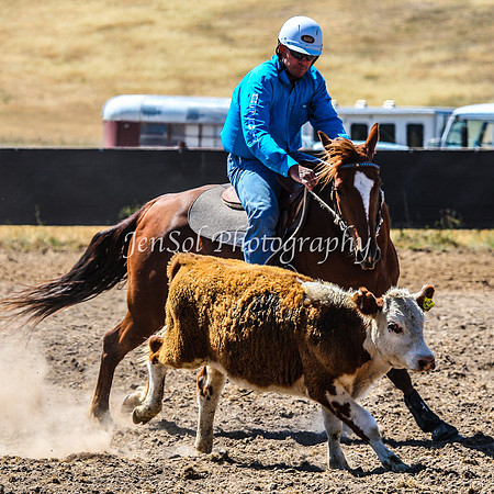 AdaminabyCampdraft2015_0199
