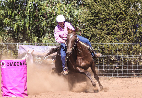 Dubbo2 132