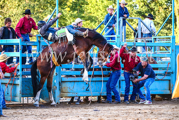 TumutRodeo2017_2966