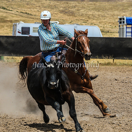 AdaminabyCampdraftSun2015_3332