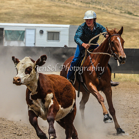 AdaminabyCampdraftSun2015_3240