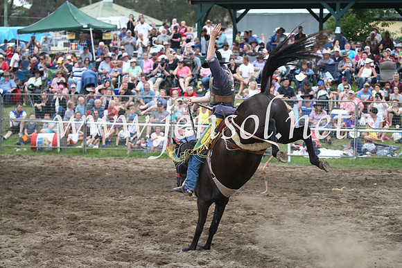 MoruyaRodeo2017_7510