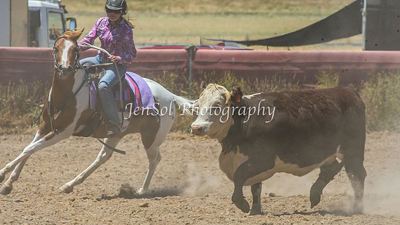 AdaminabyCampdraft2015_0404