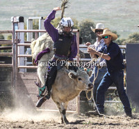 Bungendore2011_0146