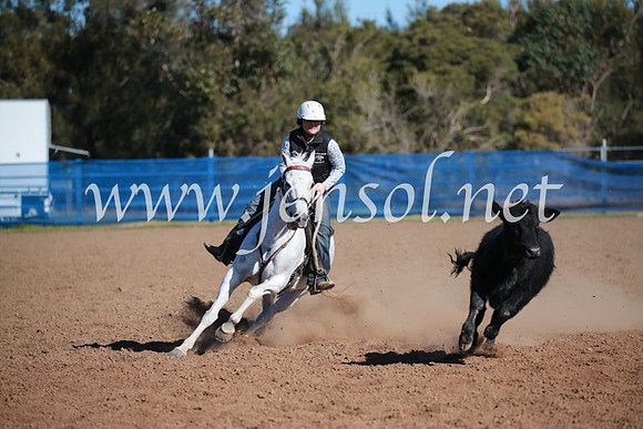 CCCampdraft2016_6213