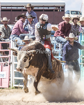 Bungendore2011_1168