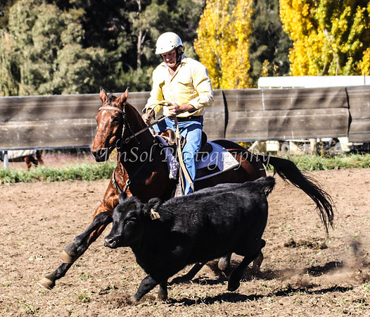 IMG_0390Jugiong1