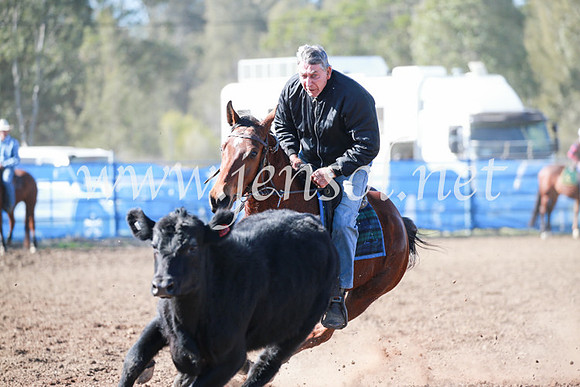 CCCampdraft2016_5272