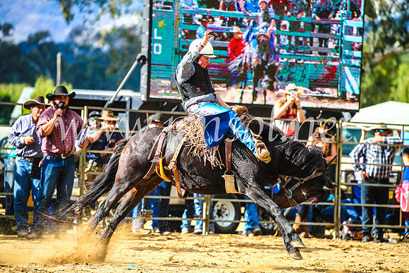 TumutRodeo2017_1663