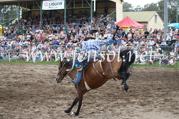 MoruyaRodeo2017_7372