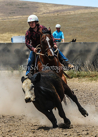 AdaminabyCampdraftSun2015_3151