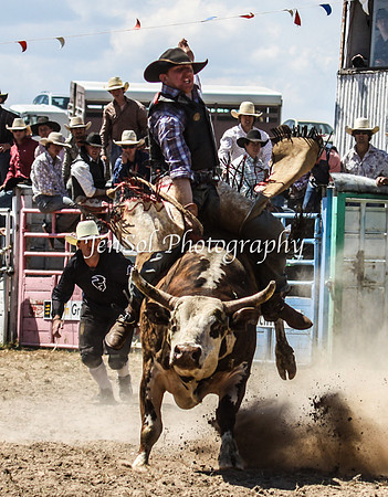 Bungendore2011_0875