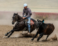 AdaminabyCampdraftSun2015_3450