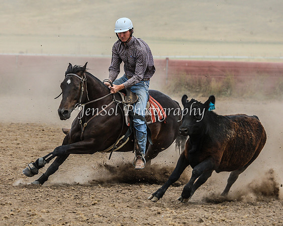 AdaminabyCampdraftSun2015_3450