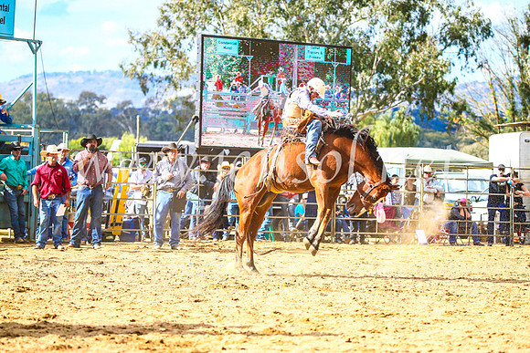 TumutRodeo2017_1758