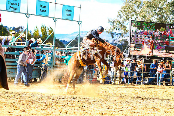 TumutRodeo2017_1595