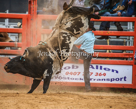 ForbesRodeo2014_0646