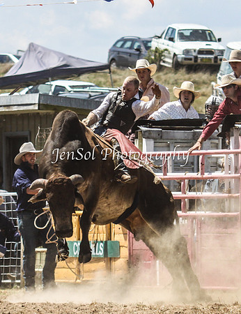 Bungendore2011_0839