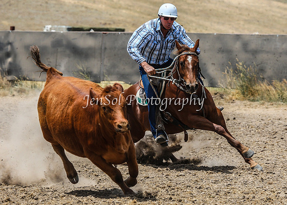 AdaminabyCampdraftSun2015_3018