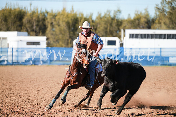 CCCampdraft2016_5212
