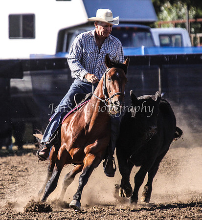 IMG_0218CCCSun