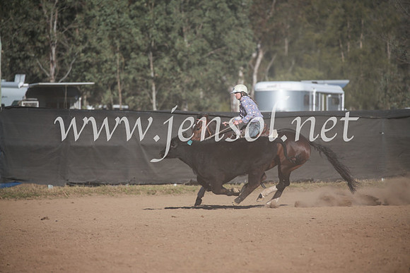 CCCampdraft2016_6336