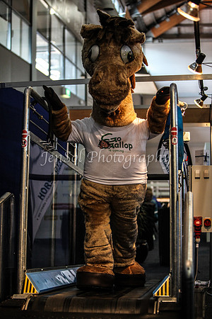 EquitanaFri_0042