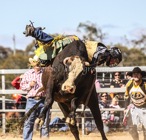 IMG_0364Jindy