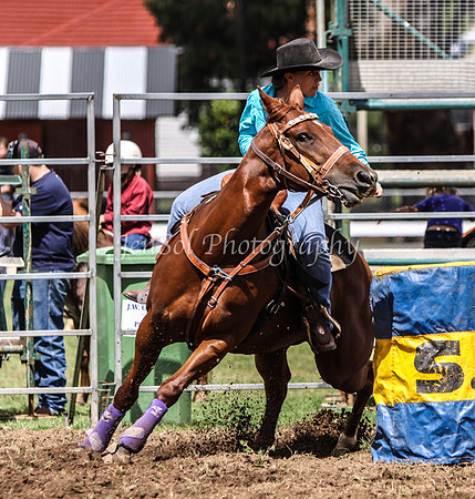 IMG_0253Qbn1