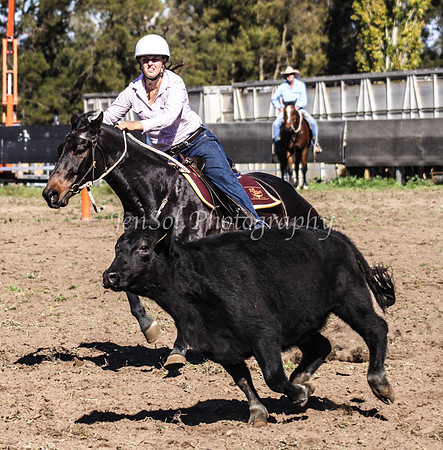 IMG_0542Jugiong1