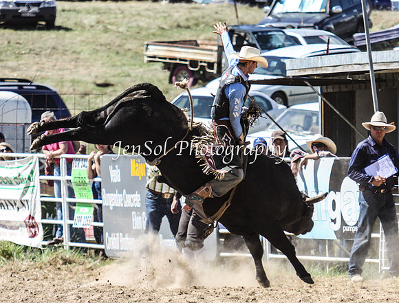 Bungendore2011_1161