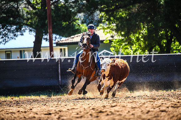 OrangeCampdraft2017_4401