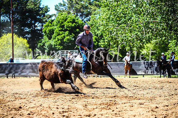 OrangeCampdraft2017_4555