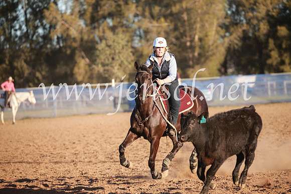 CCCampdraft2016_6912