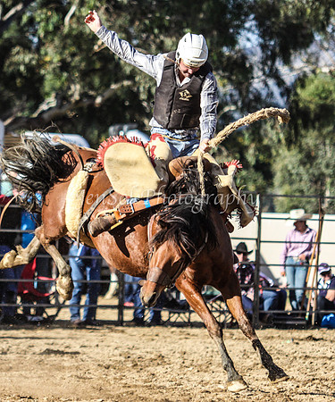 Tumut2_0317
